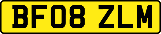 BF08ZLM