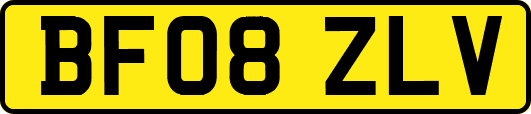 BF08ZLV