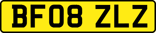 BF08ZLZ