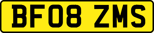 BF08ZMS