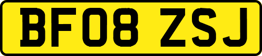 BF08ZSJ