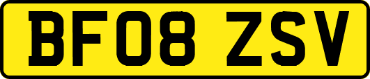 BF08ZSV