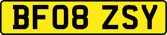 BF08ZSY