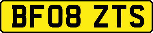 BF08ZTS