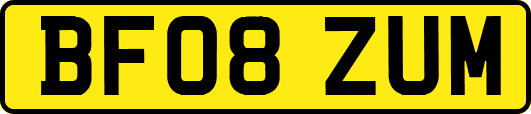 BF08ZUM