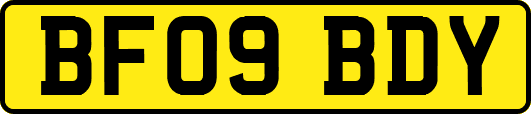 BF09BDY