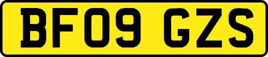 BF09GZS