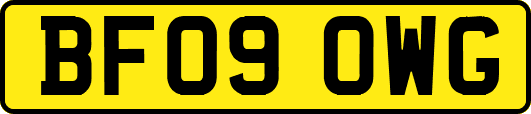 BF09OWG