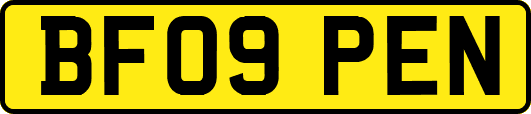BF09PEN