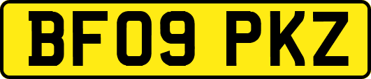 BF09PKZ