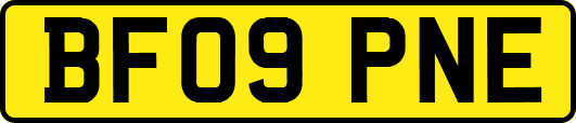 BF09PNE