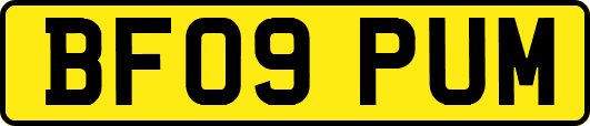 BF09PUM
