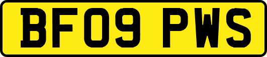 BF09PWS
