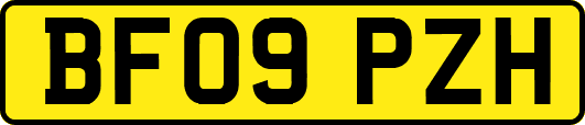 BF09PZH