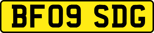 BF09SDG