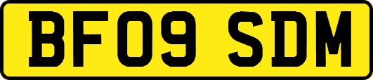 BF09SDM