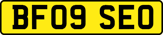 BF09SEO