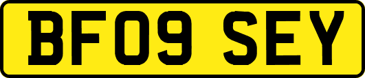 BF09SEY