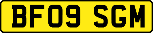 BF09SGM