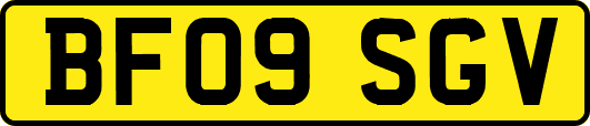 BF09SGV