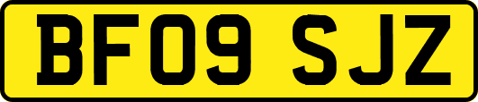 BF09SJZ