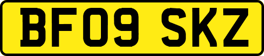 BF09SKZ