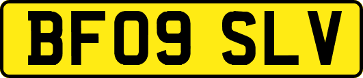 BF09SLV