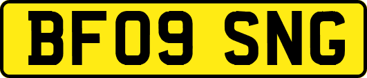 BF09SNG
