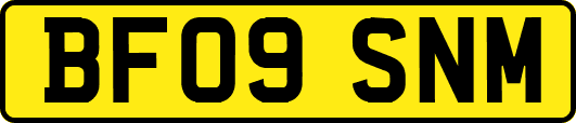BF09SNM
