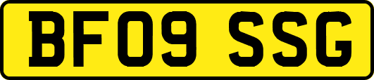 BF09SSG
