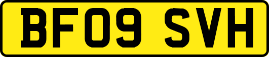 BF09SVH