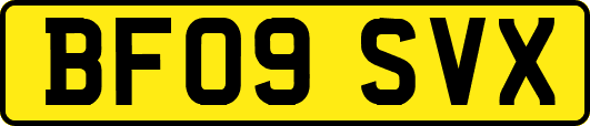 BF09SVX
