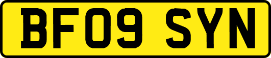 BF09SYN