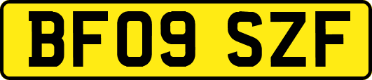 BF09SZF
