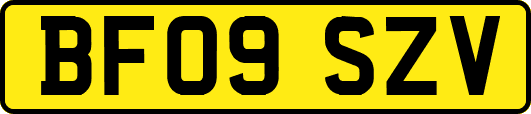 BF09SZV