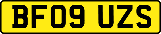 BF09UZS
