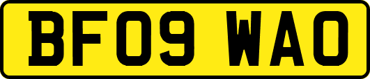 BF09WAO