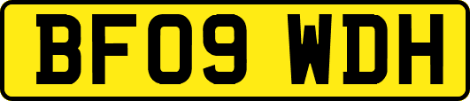 BF09WDH