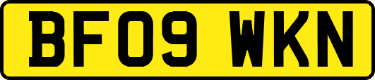BF09WKN