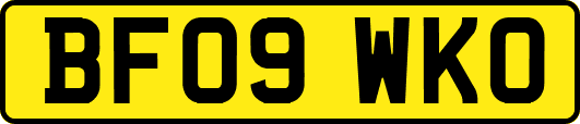 BF09WKO