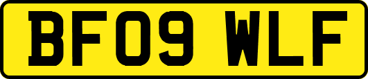BF09WLF