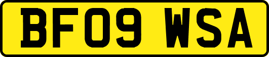 BF09WSA