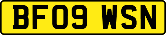BF09WSN