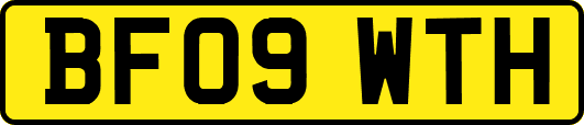BF09WTH