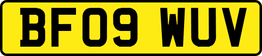 BF09WUV