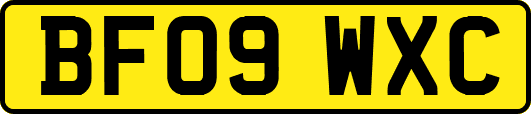 BF09WXC