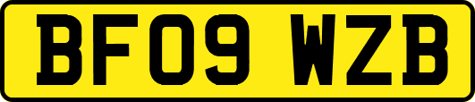 BF09WZB