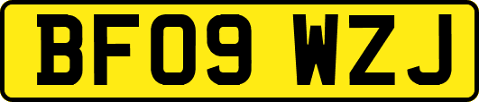 BF09WZJ