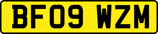 BF09WZM