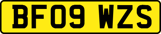BF09WZS